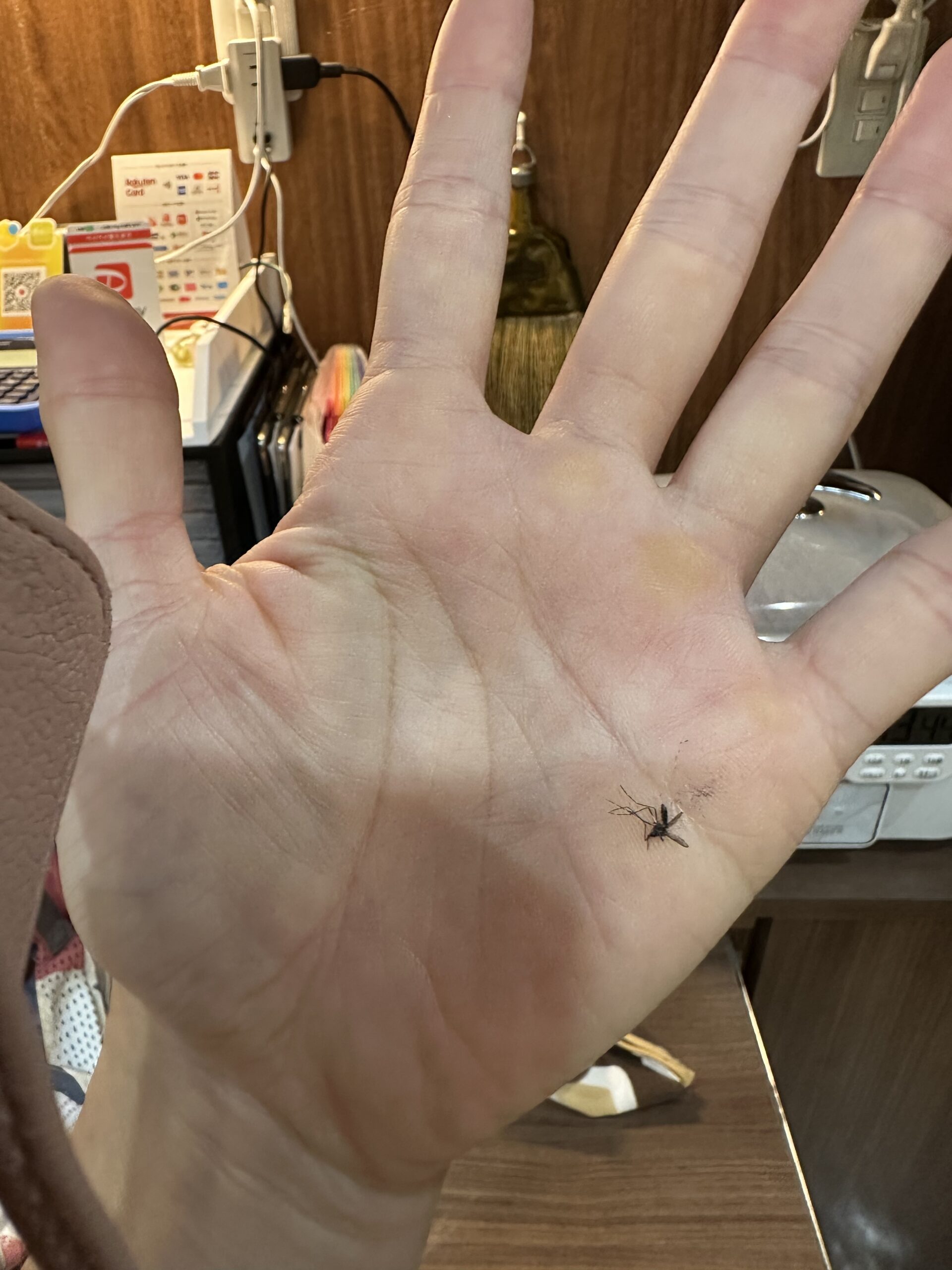 10月に、この現象?